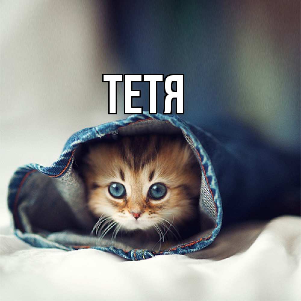 Открытка  с именем. Тетя, Главная  