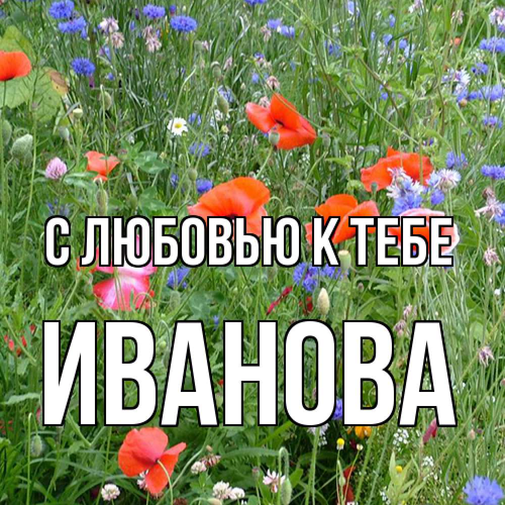 Открытка  с именем. Иванова, С любовью к тебе  