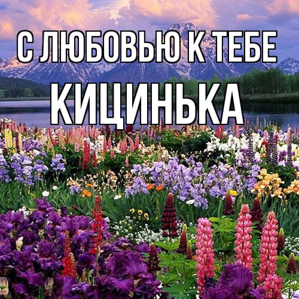 Открытка  с именем. Кицинька, С любовью к тебе  