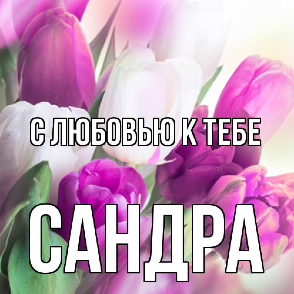 Открытка  с именем. Сандра, С любовью к тебе  