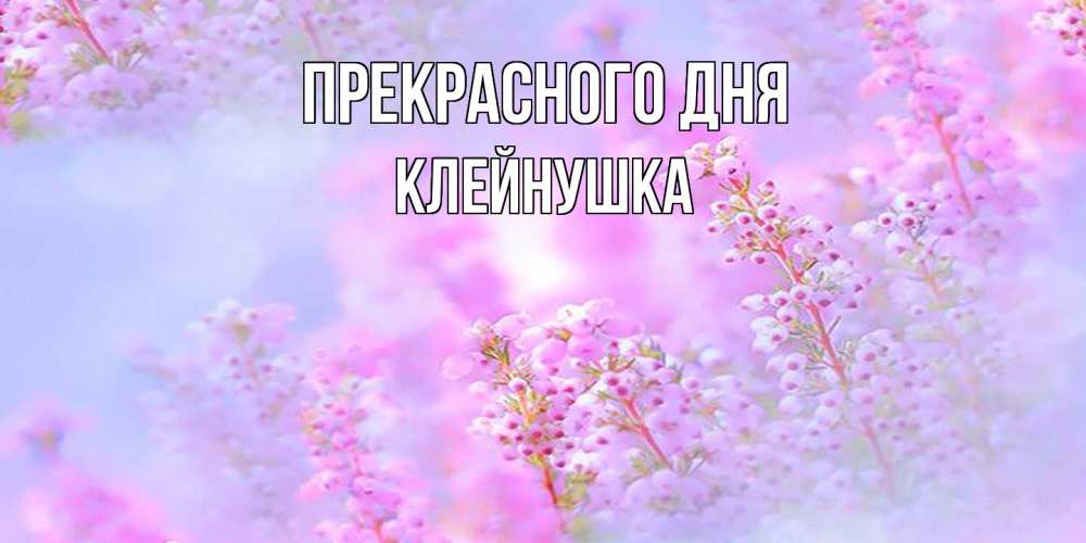 Открытка  с именем. Клейнушка, Прекрасного дня  