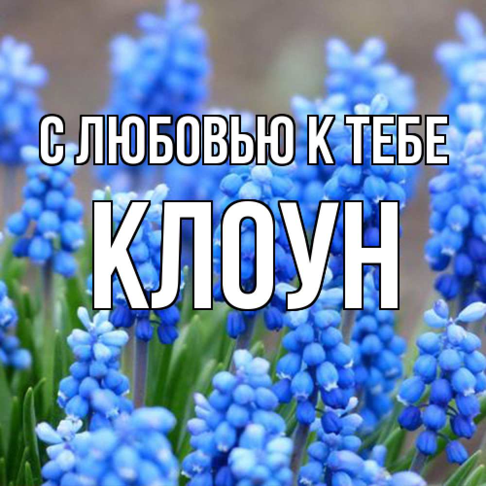 Открытка  с именем. Клоун, С любовью к тебе  