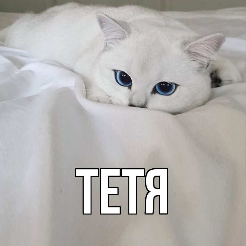 Открытка  с именем. Тетя, Главная  
