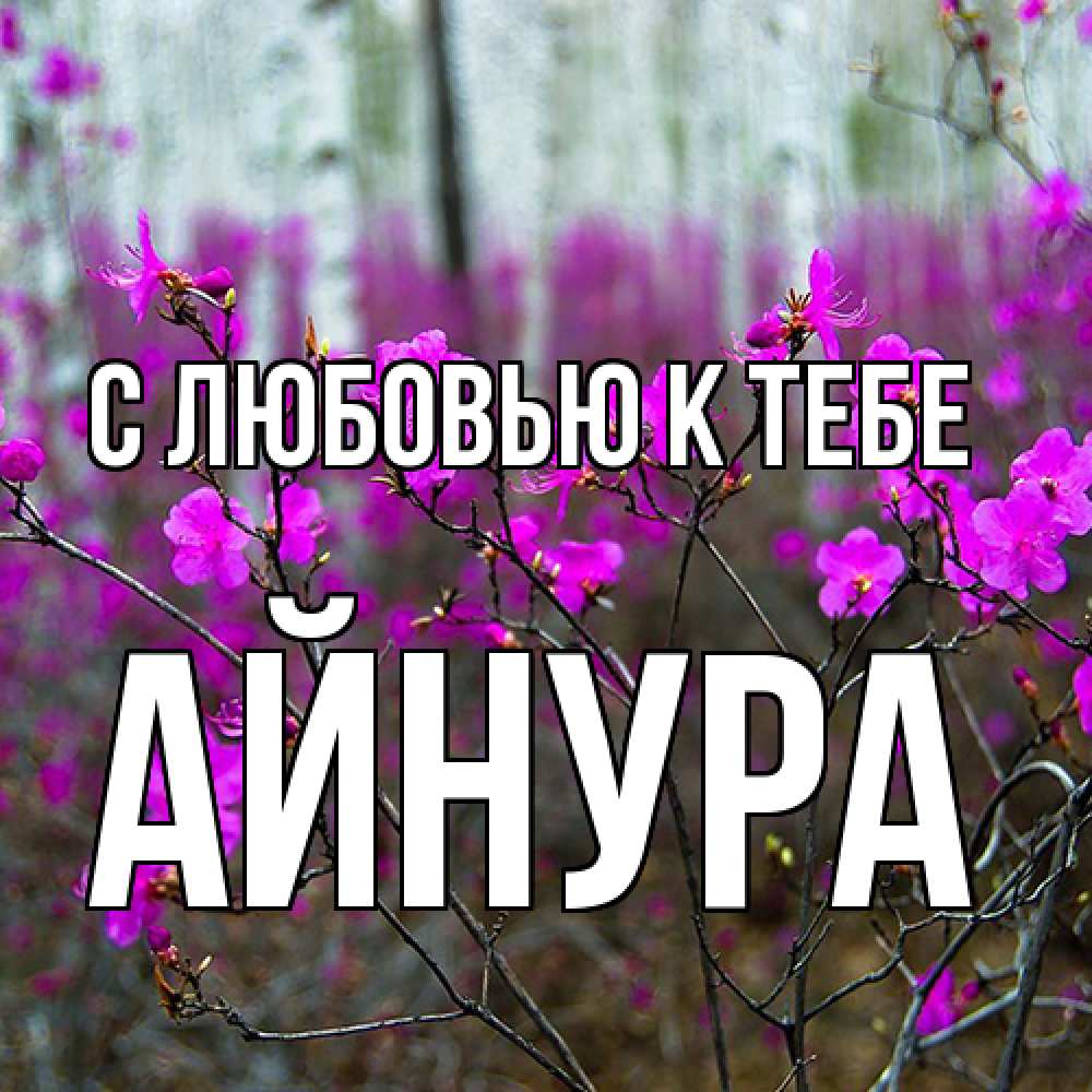 Открытка  с именем. Айнура, С любовью к тебе  