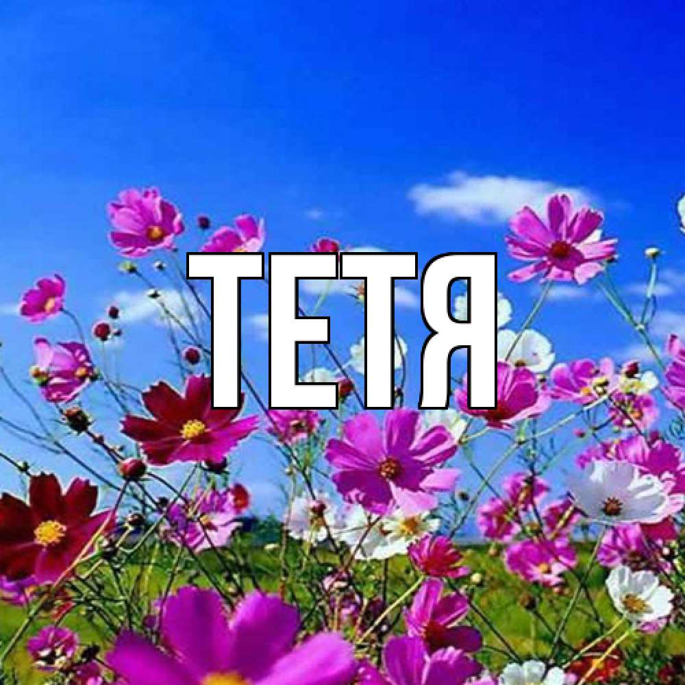 Открытка  с именем. Тетя, Главная  