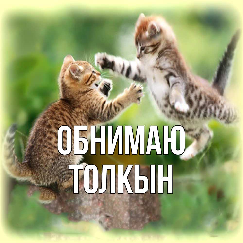 Открытка  с именем. Толкын, Обнимаю  