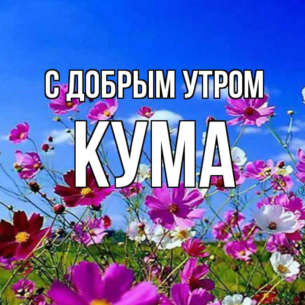 Открытка  с именем. Кума, С добрым утром  