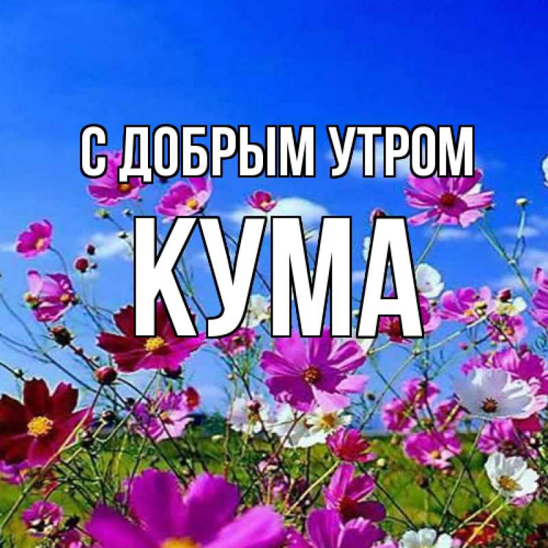 Картинка С добрым утром, Кума