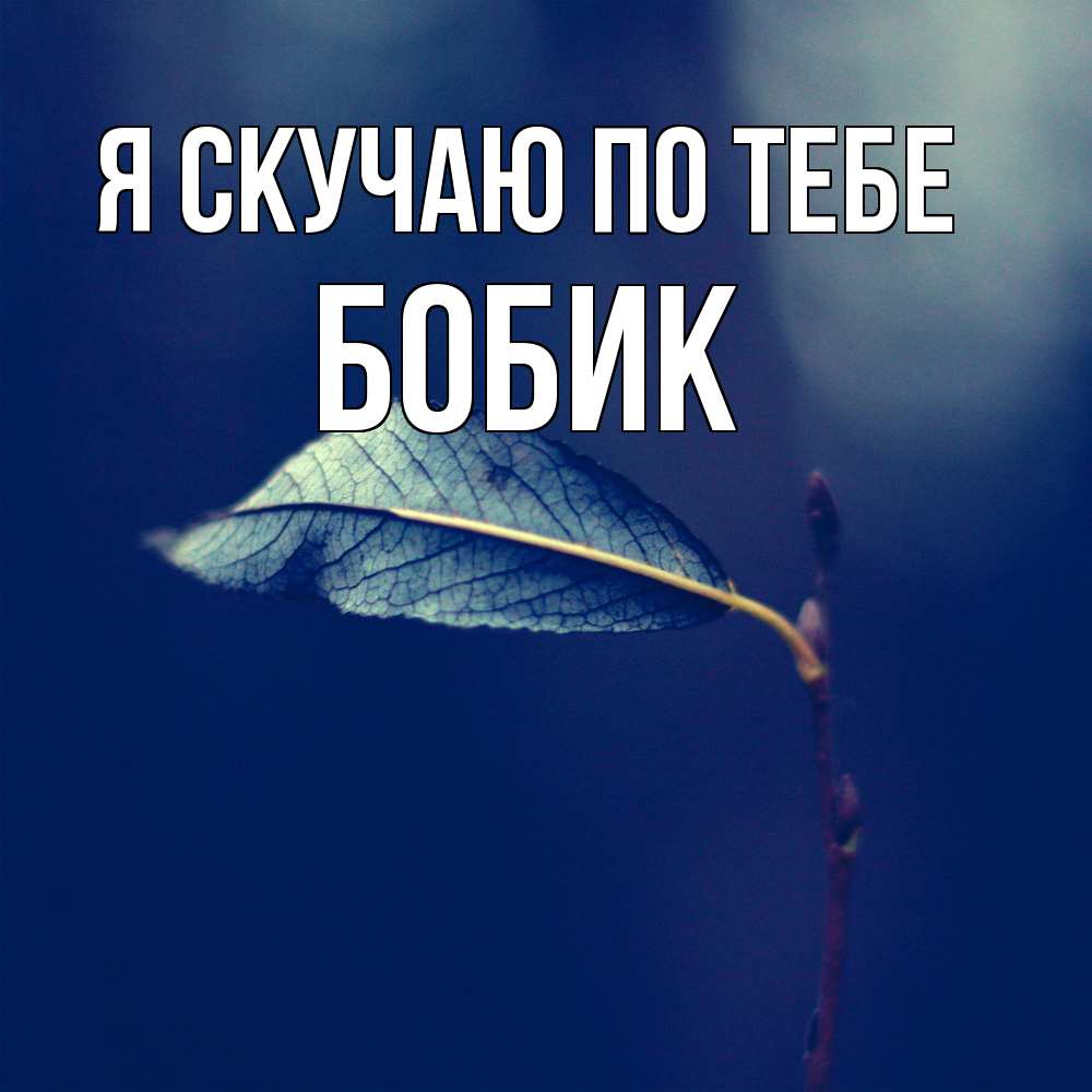 Открытка  с именем. Бобик, Я скучаю по тебе  