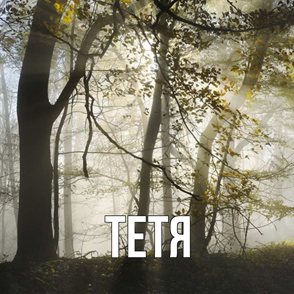 Открытка  с именем. Тетя, Главная  