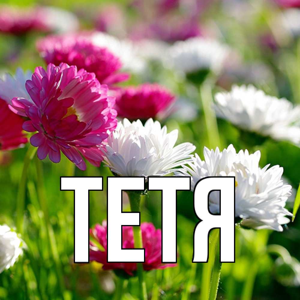 Открытка  с именем. Тетя, Главная  