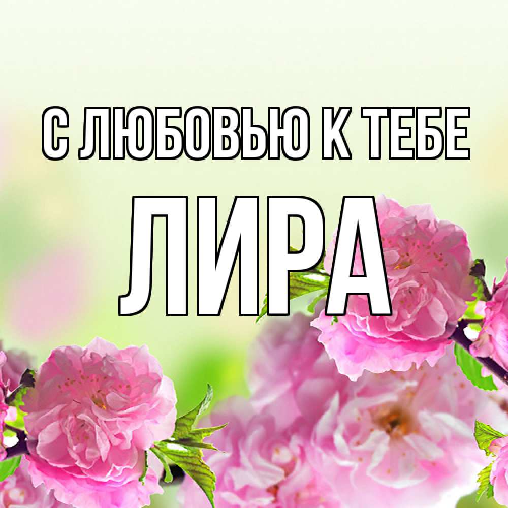 Открытка  с именем. Лира, С любовью к тебе  