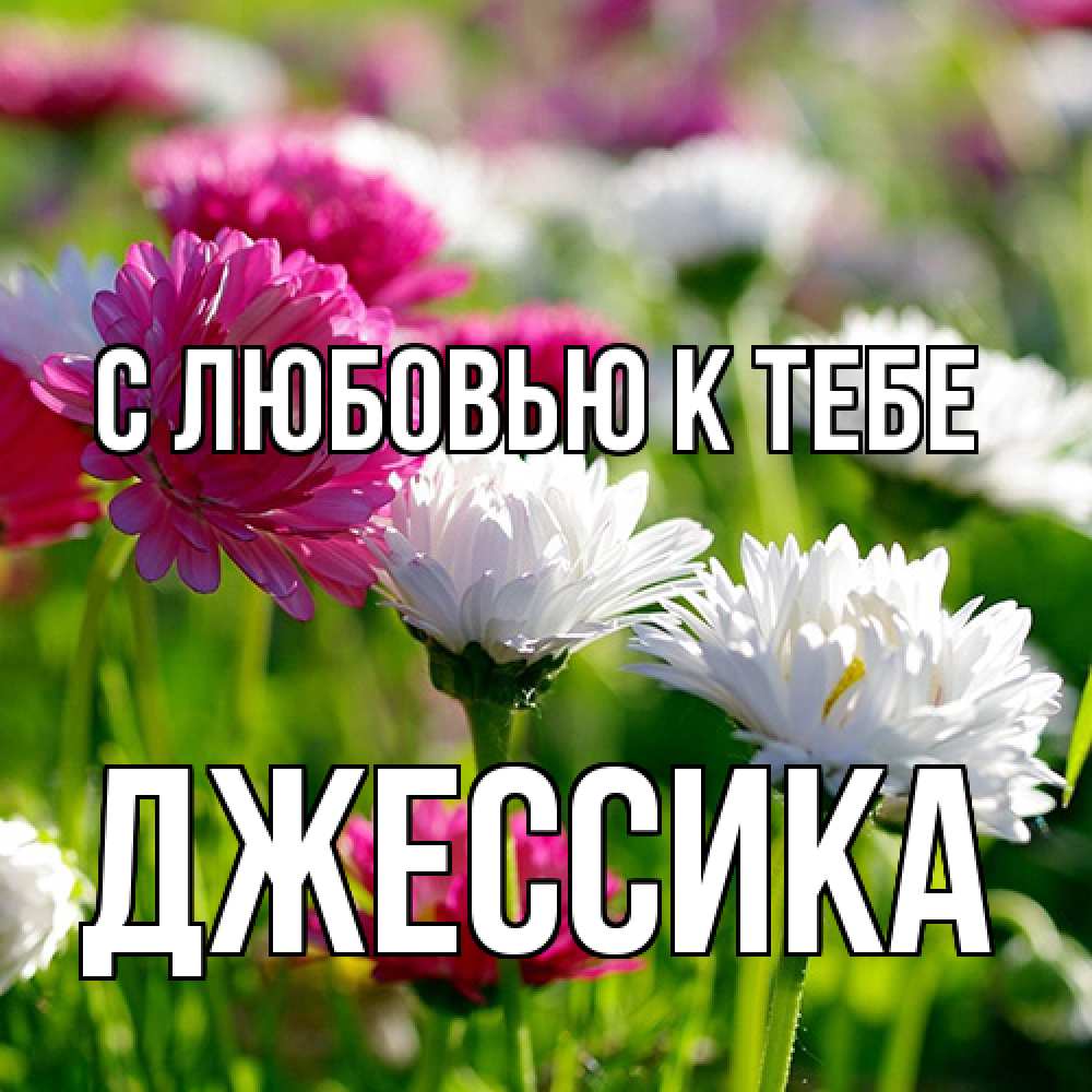 Открытка  с именем. Джессика, С любовью к тебе  