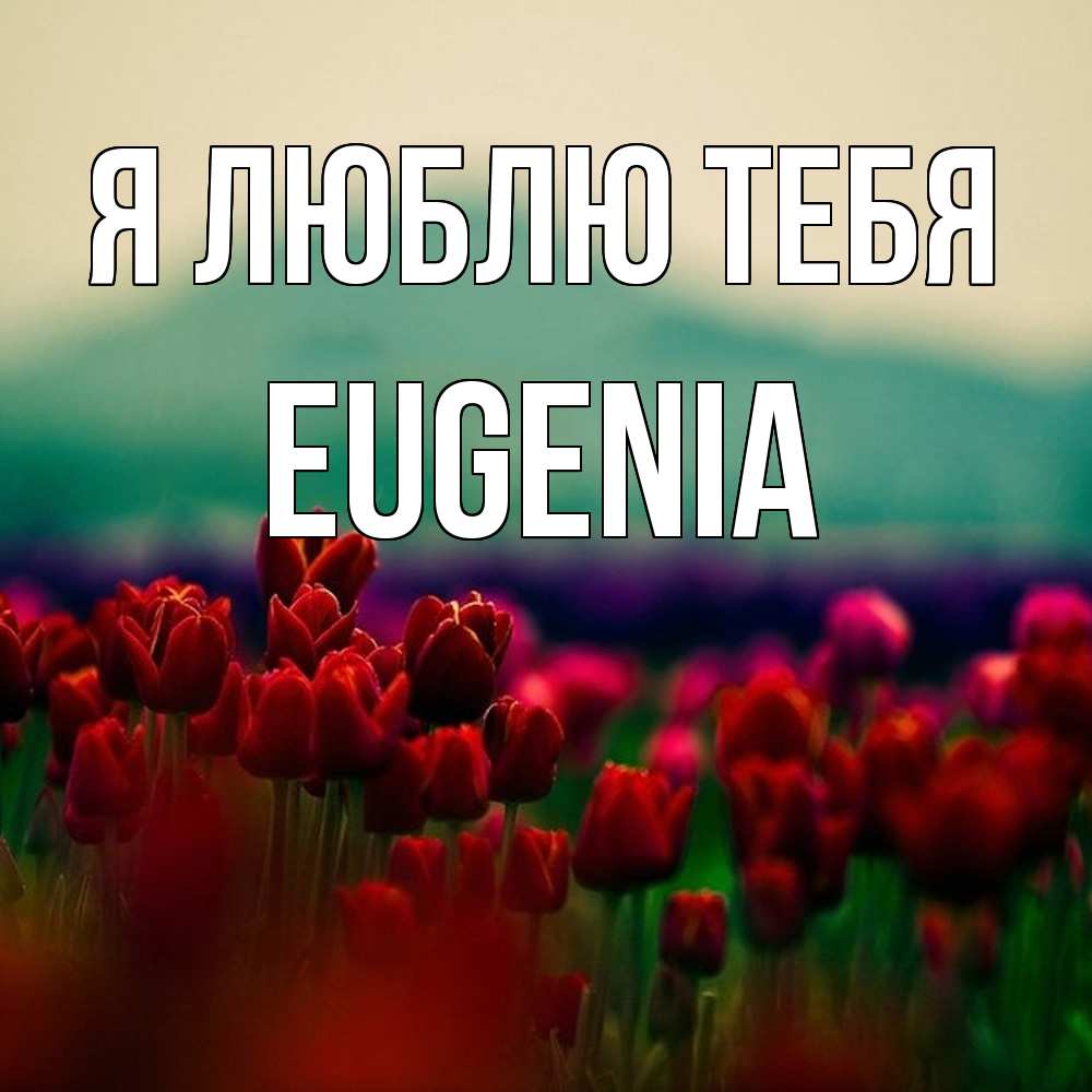 Открытка  с именем. eugenia, Я люблю тебя  