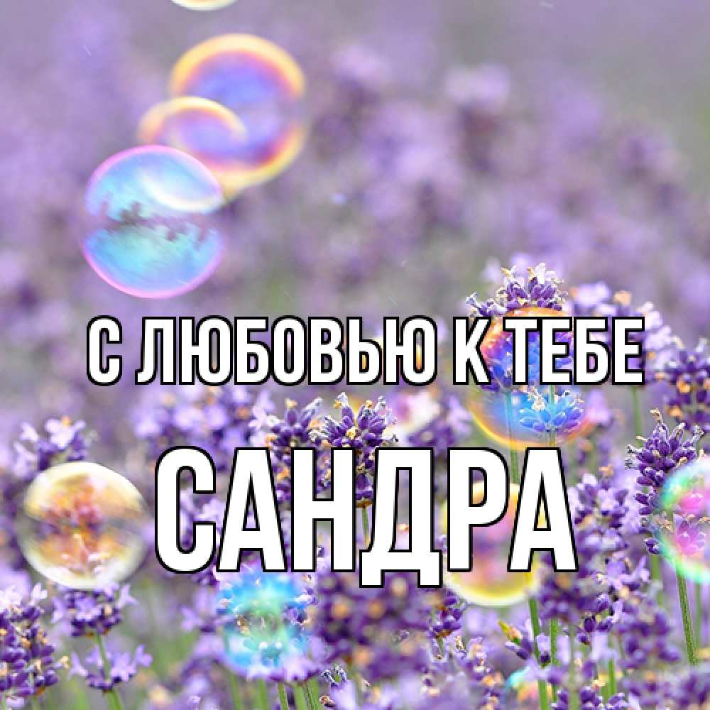 Открытка  с именем. Сандра, С любовью к тебе  