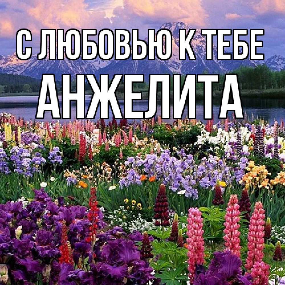 Открытка  с именем. Анжелита, С любовью к тебе  