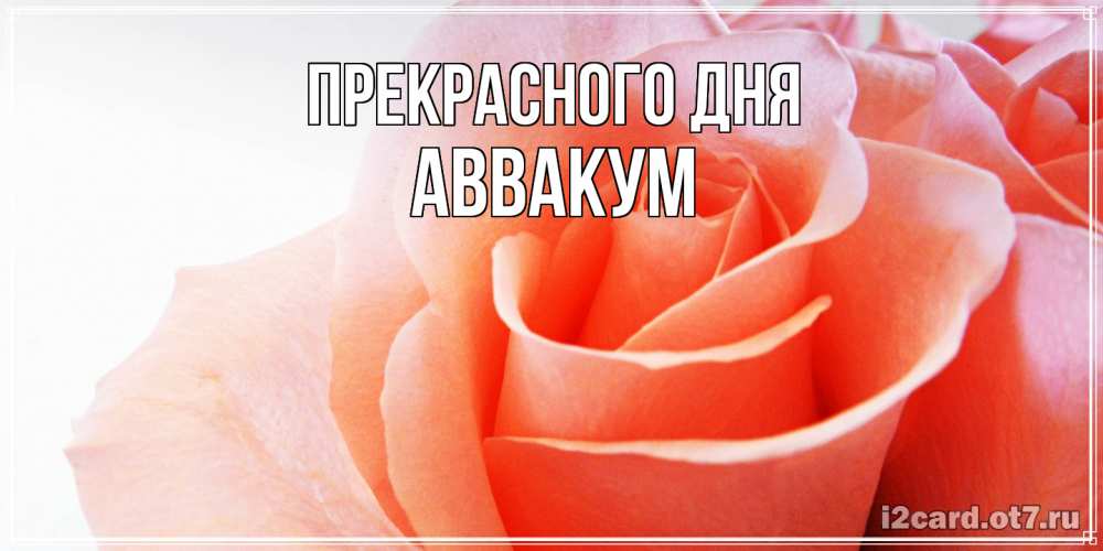 Открытка  с именем. Аввакум, Прекрасного дня  