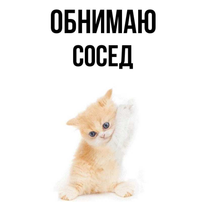 Картинка Обнимаю, Сосед