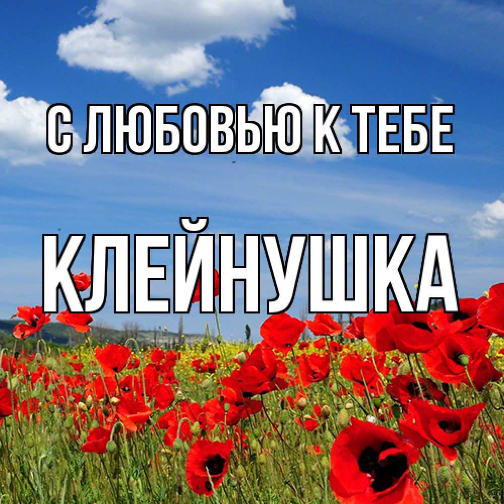 Открытка  с именем. Клейнушка, С любовью к тебе  