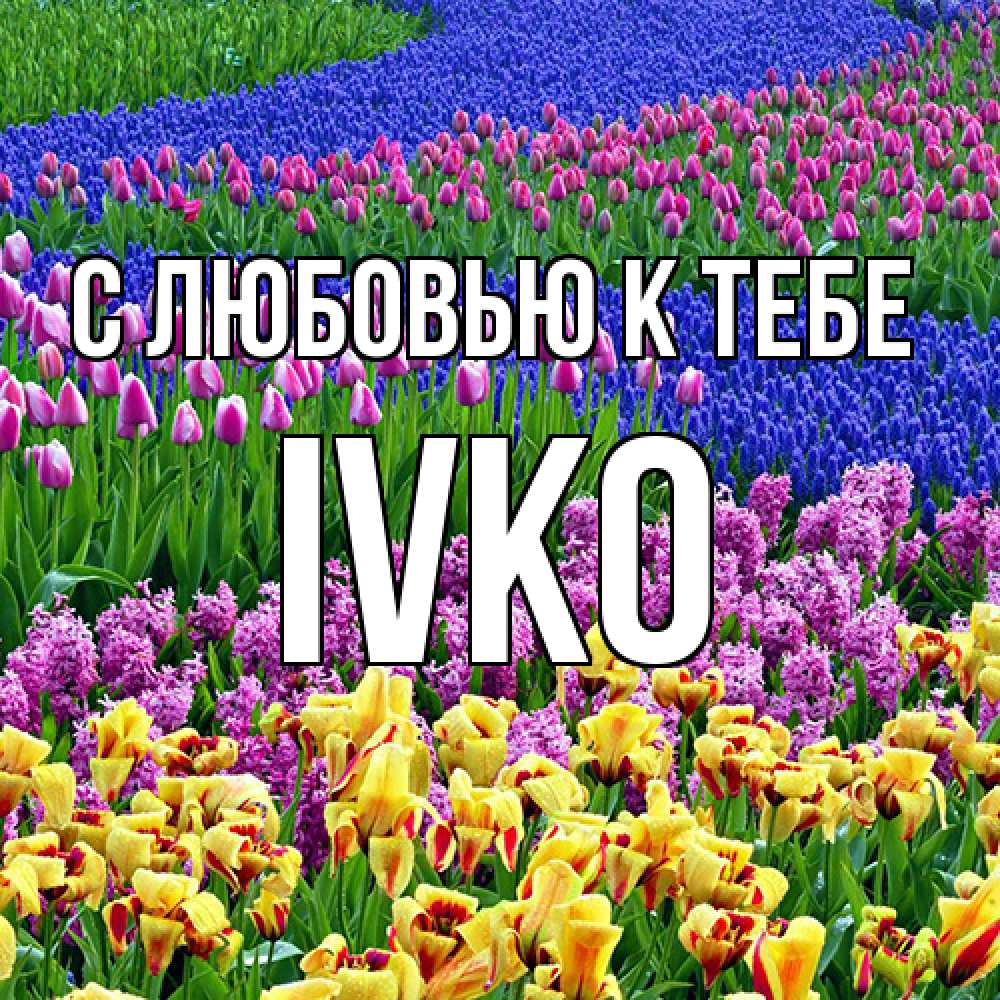 Открытка  с именем. IVKO, С любовью к тебе  