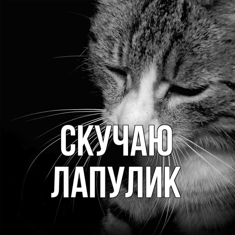 Картинка Скучаю, Лапулик