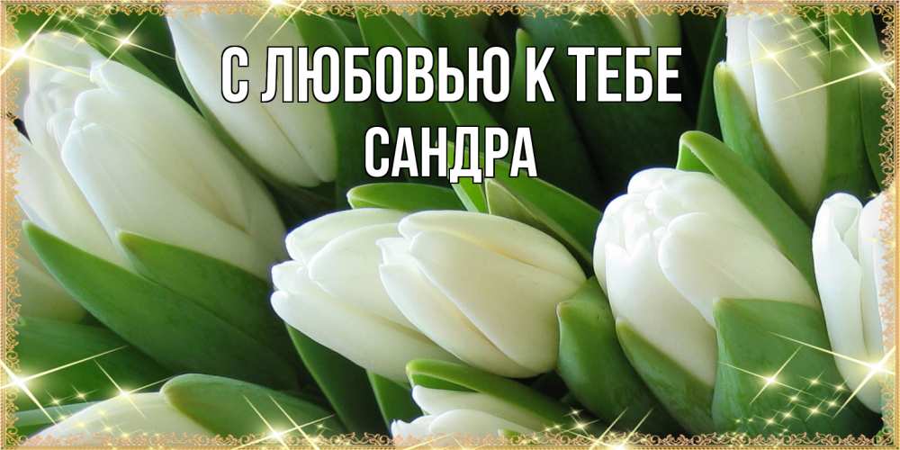 Открытка  с именем. Сандра, С любовью к тебе  