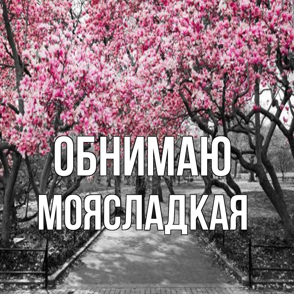 Открытка  с именем. МояСладкая, Обнимаю  