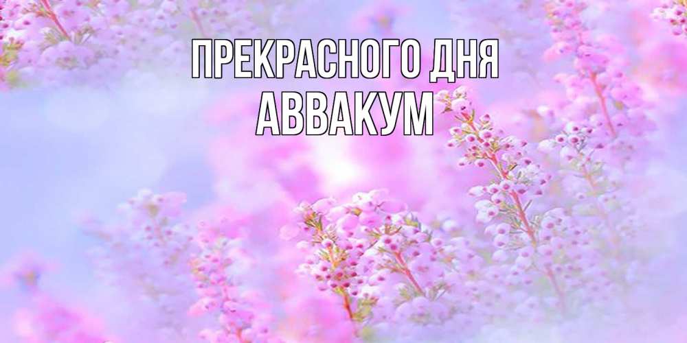 Открытка  с именем. Аввакум, Прекрасного дня  