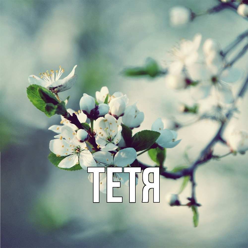 Открытка  с именем. Тетя, Главная  