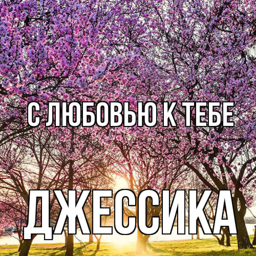 Открытка  с именем. Джессика, С любовью к тебе  