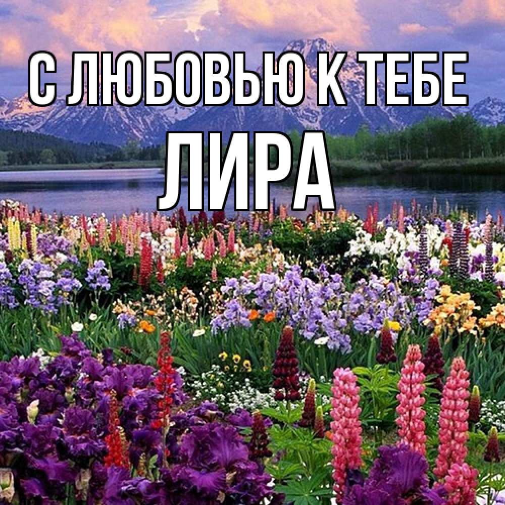 Открытка  с именем. Лира, С любовью к тебе  