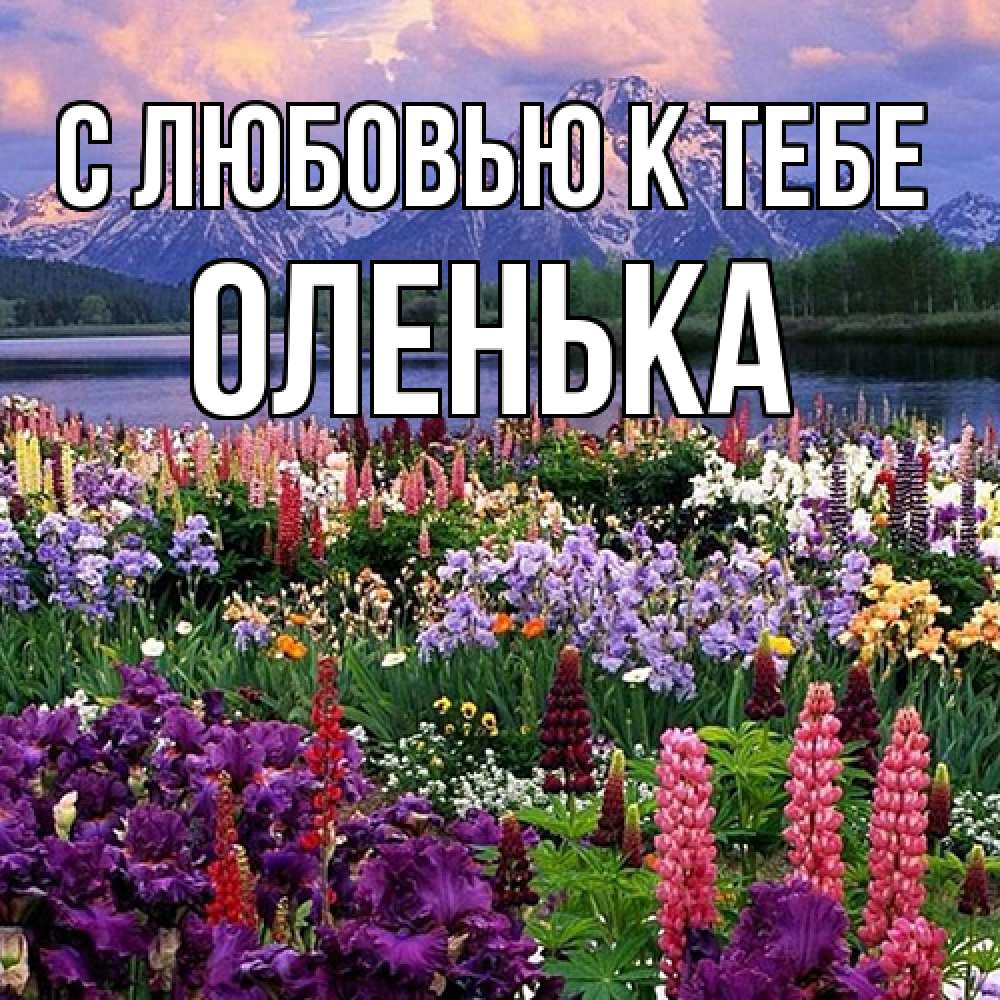 Открытка  с именем. Оленька, С любовью к тебе  