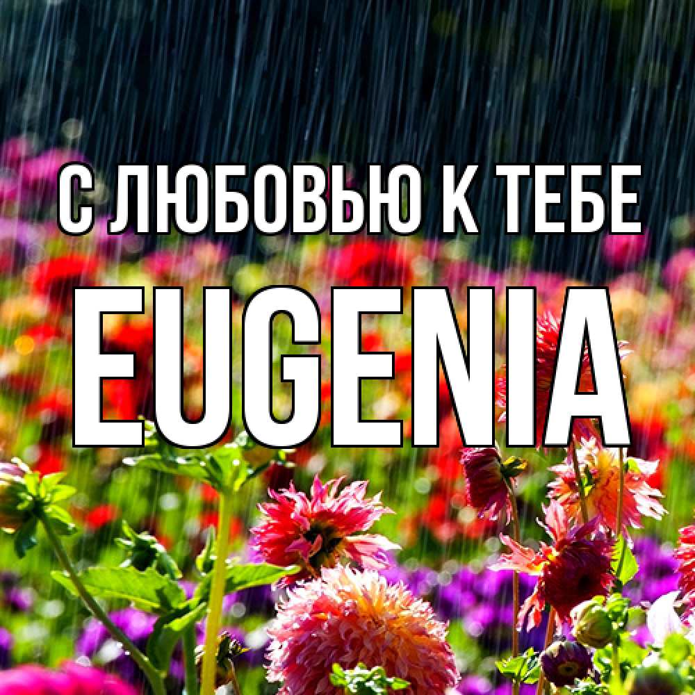 Открытка  с именем. eugenia, С любовью к тебе  