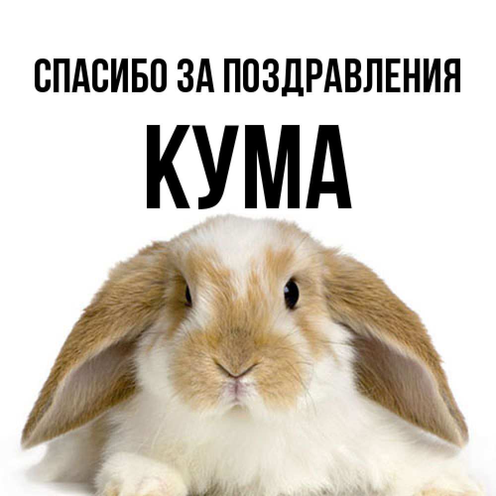 Открытка  с именем. Кума, Спасибо за поздравления  