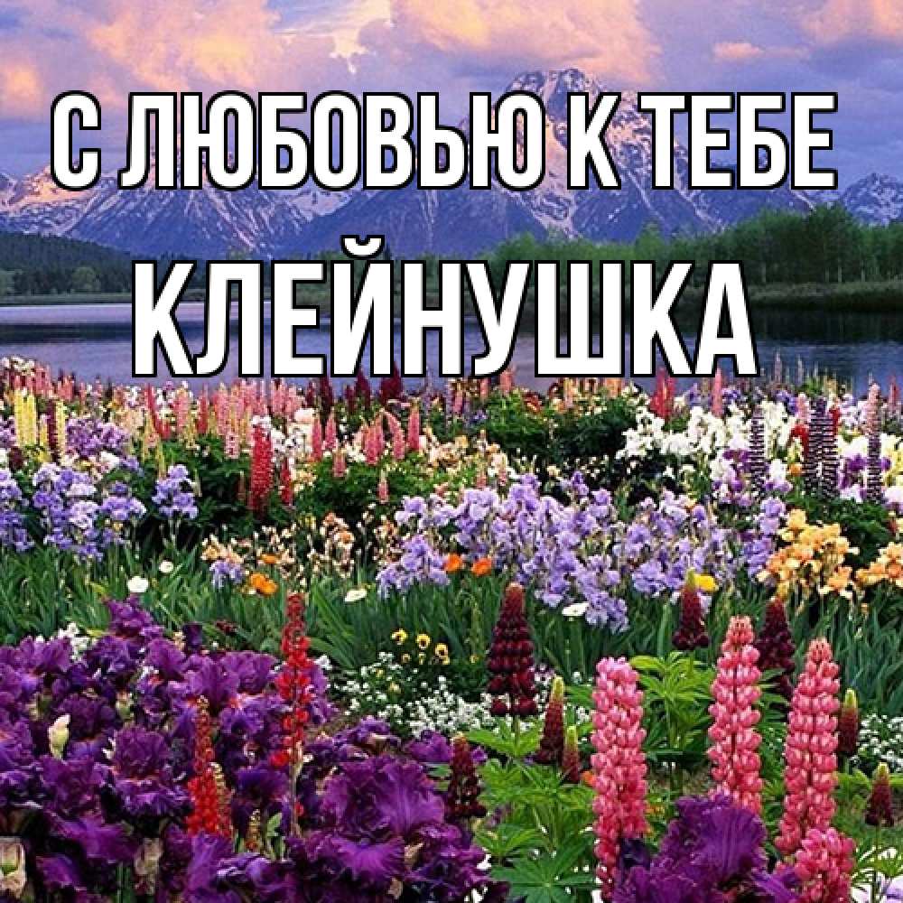 Открытка  с именем. Клейнушка, С любовью к тебе  