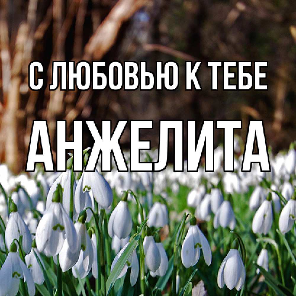 Открытка  с именем. Анжелита, С любовью к тебе  