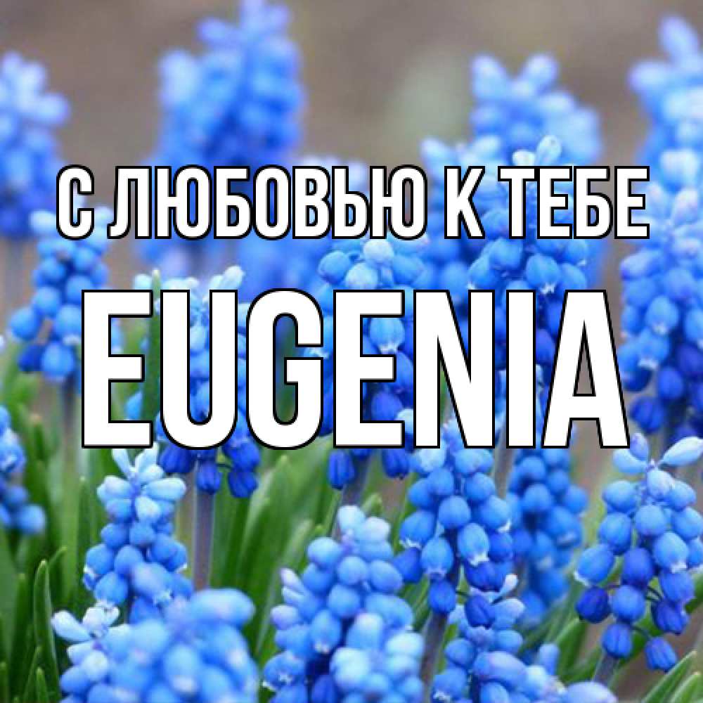 Открытка  с именем. eugenia, С любовью к тебе  