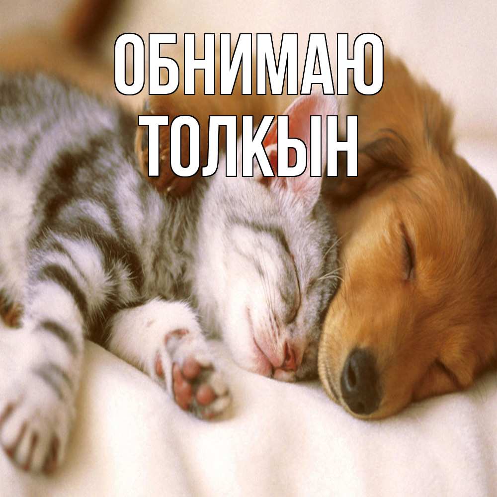 Открытка  с именем. Толкын, Обнимаю  