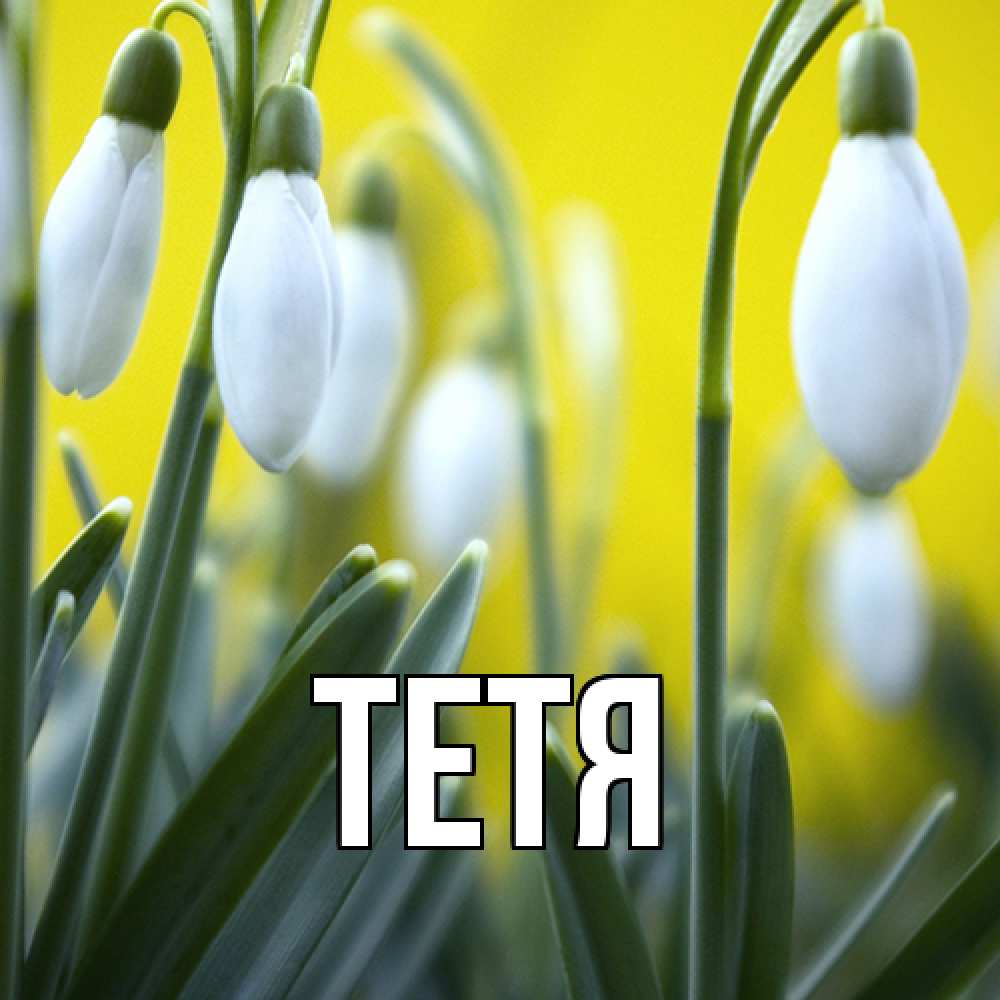 Открытка  с именем. Тетя, Главная  