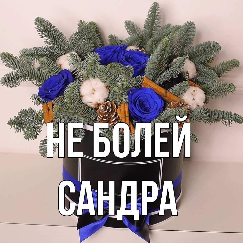 Открытка  с именем. Сандра, Не болей  