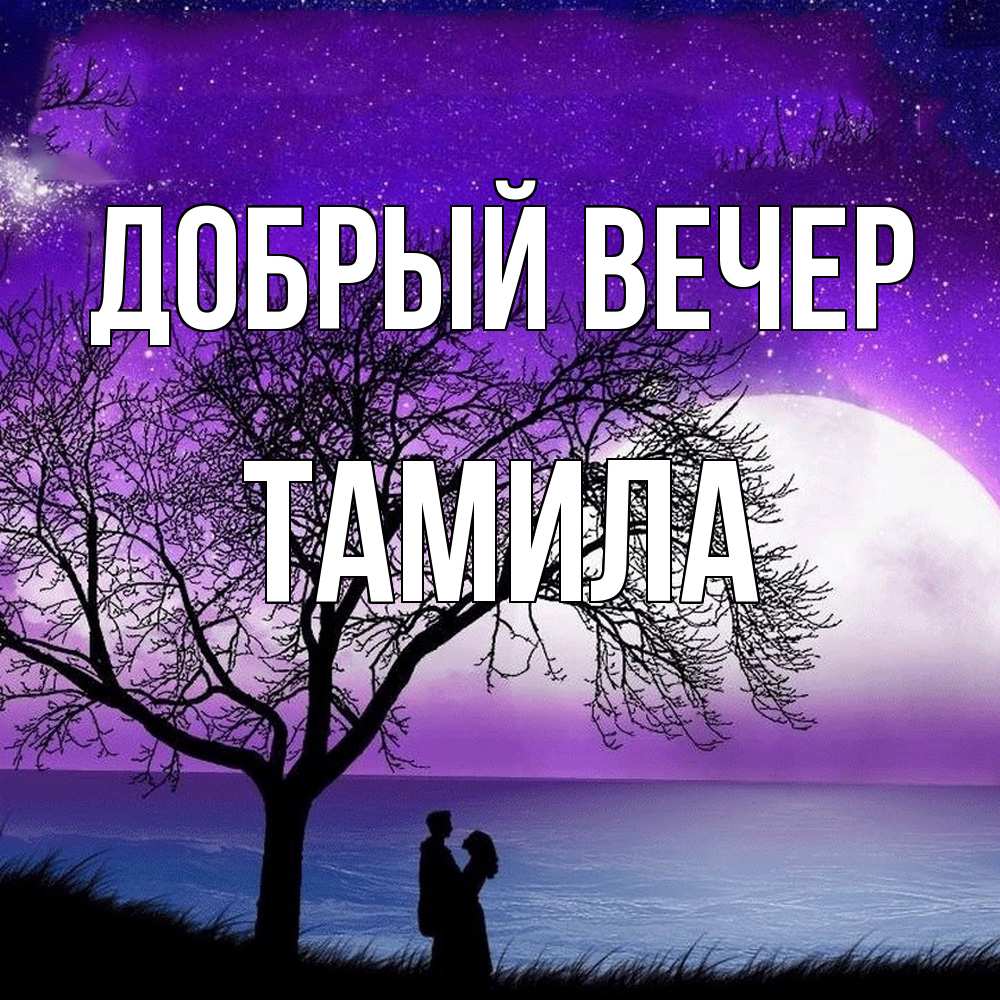 Открытка  с именем. Тамила, Добрый вечер  