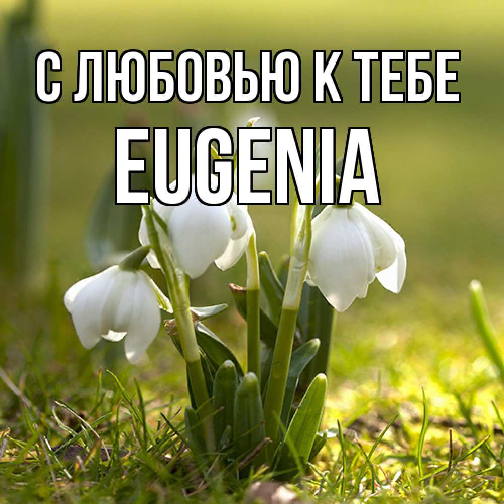 Открытка  с именем. eugenia, С любовью к тебе  