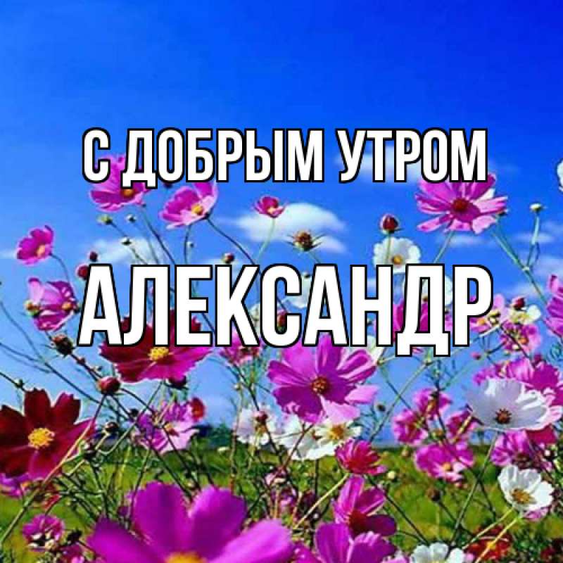 Картинка С добрым утром, александр