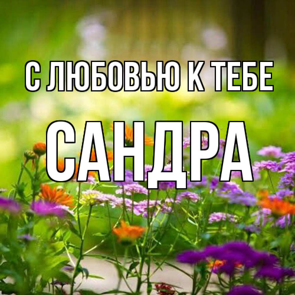 Открытка  с именем. Сандра, С любовью к тебе  