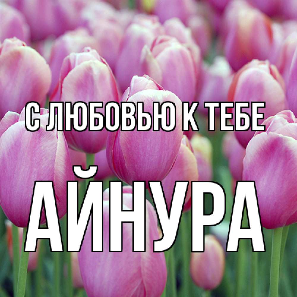 Открытка  с именем. Айнура, С любовью к тебе  