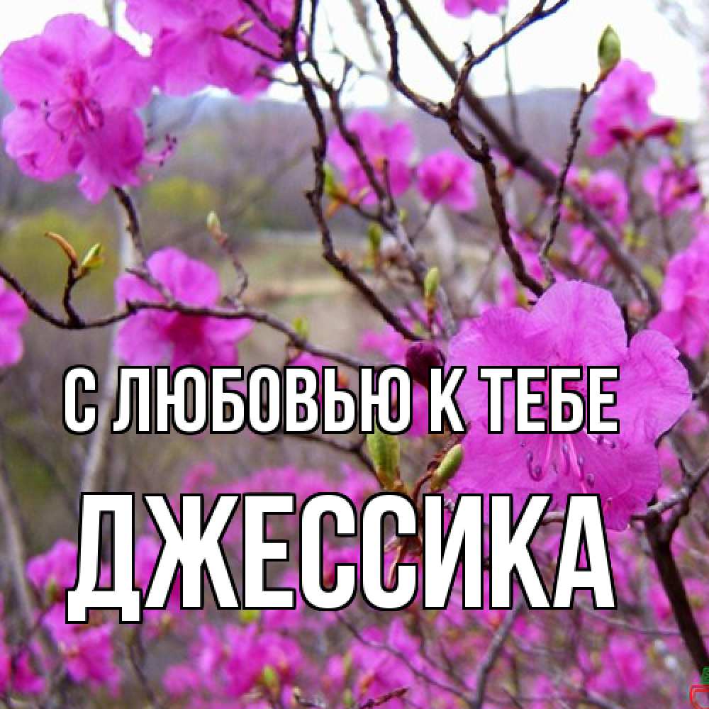 Открытка  с именем. Джессика, С любовью к тебе  