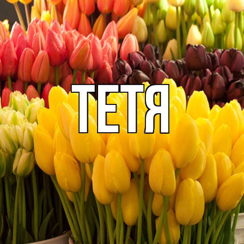 Открытка  с именем. Тетя, Главная  