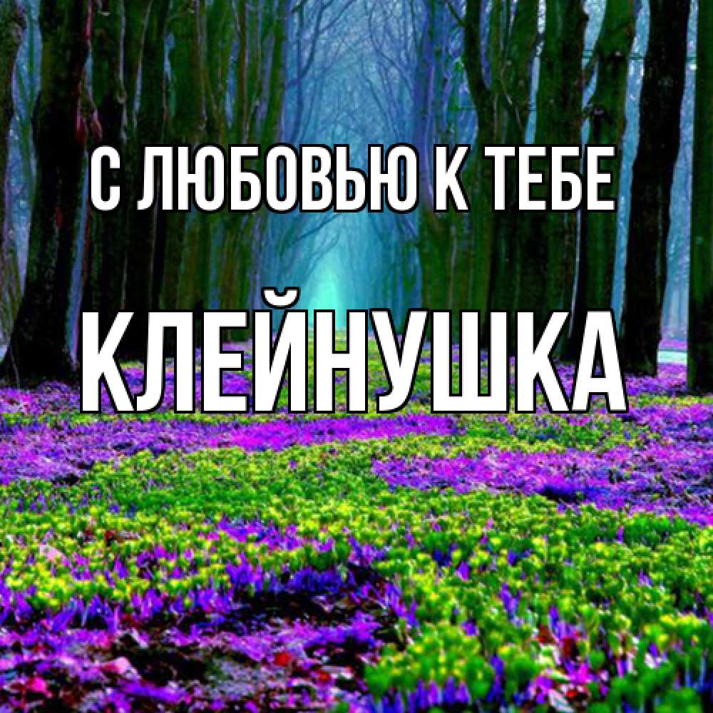 Открытка  с именем. Клейнушка, С любовью к тебе  