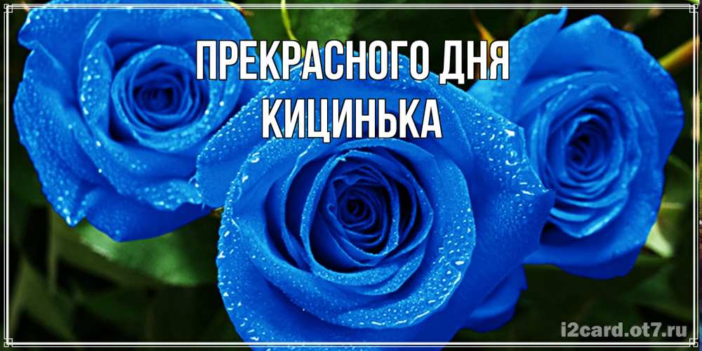 Открытка  с именем. Кицинька, Прекрасного дня  
