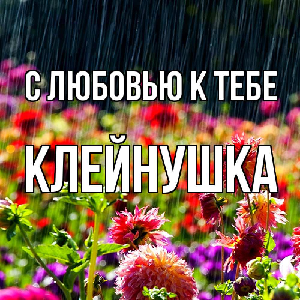 Открытка  с именем. Клейнушка, С любовью к тебе  